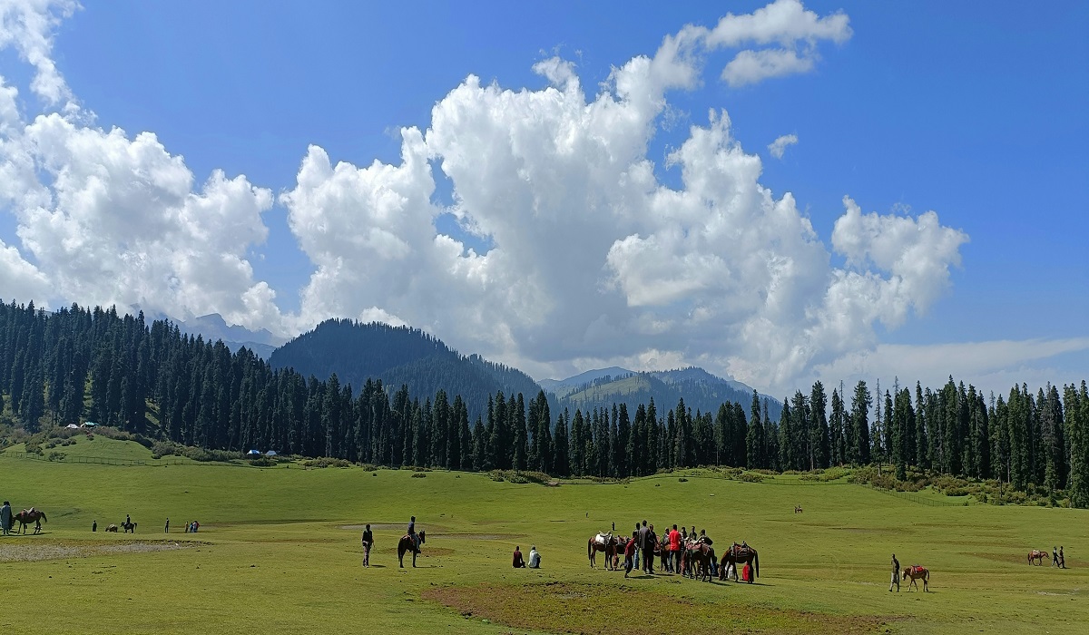 Doodhpathri, kashmir