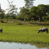 assam and meghalaya tour package - 07 days