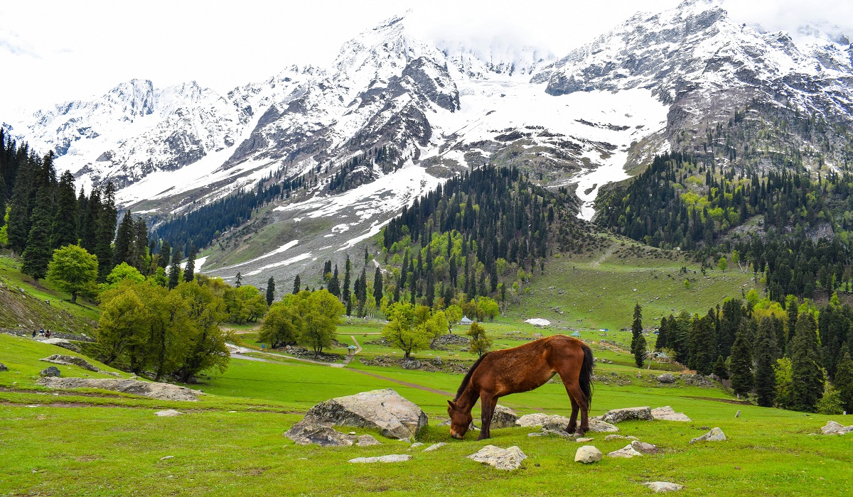 sonmarg, kashmir