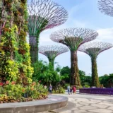 singapore tour package for 05 days