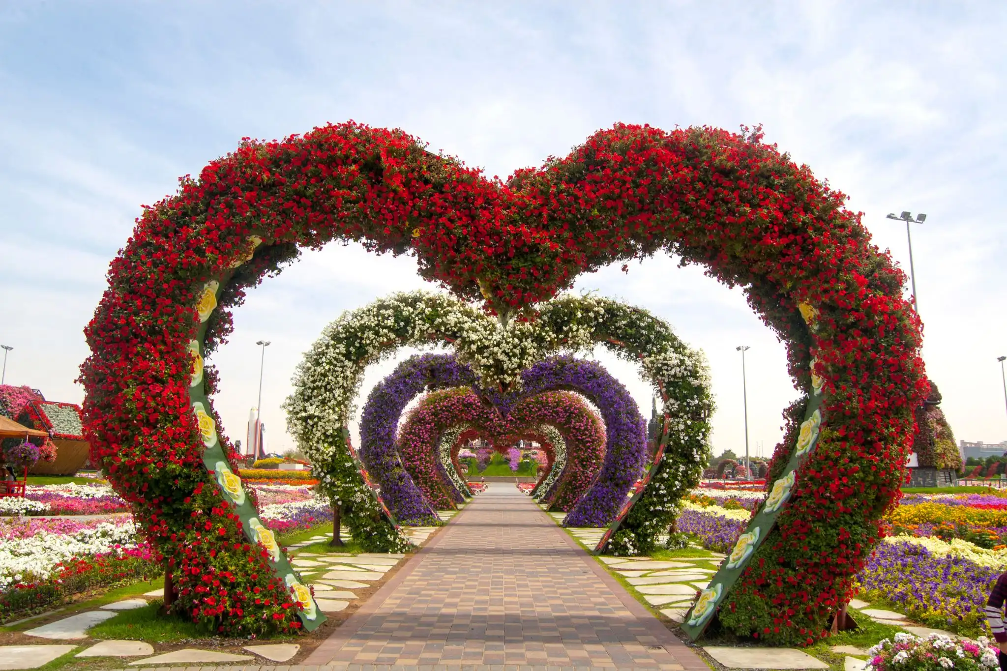 dubia miracle garden